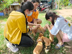 ฉีดวัคซีน หมาแมว 24664_๒๑๐๗๐๕_0