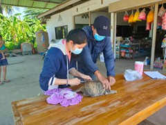 ฉีดวัคซีน หมาแมว 24664_๒๑๐๗๐๕_5