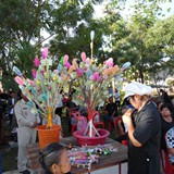 SAM_7494