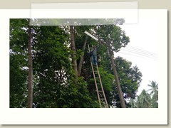 353798109_3367315700265522_8194361368717740142_n