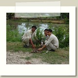 SAM_6403