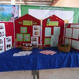 SAM_5498