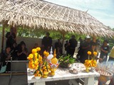 SAM_9365