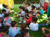 SAM_0778