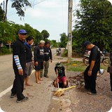 SAM_1824