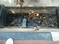 93476067_2465535207110247_330878546702499840_o